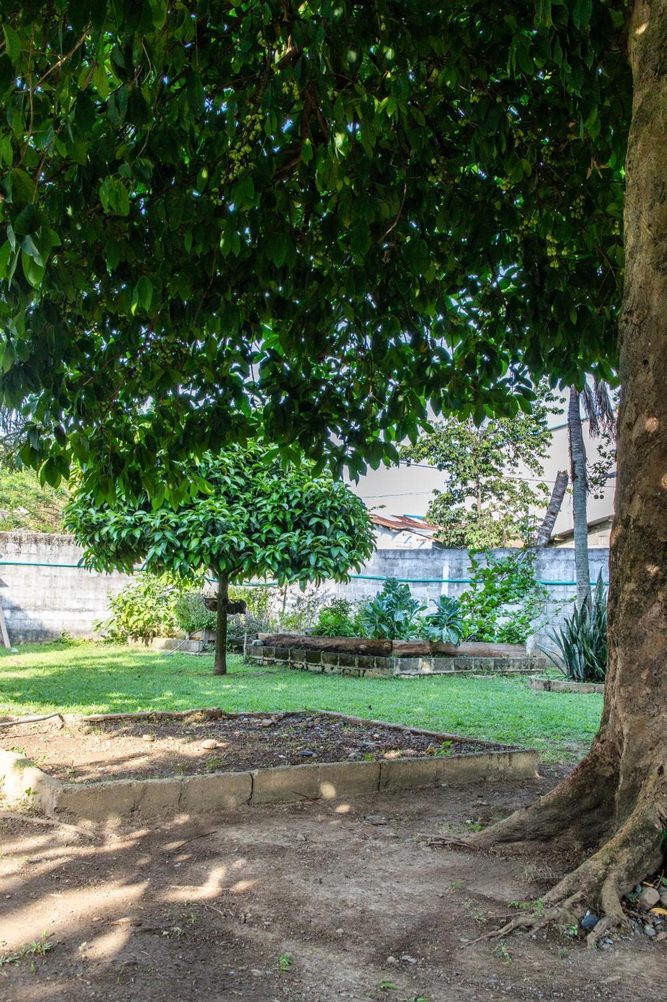 Cabanas Los Almendros Capurganá Exteriér fotografie